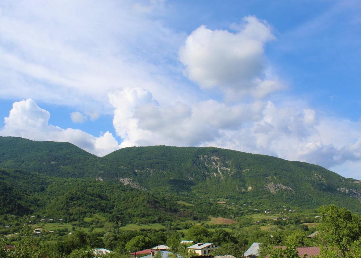 Guest House Racha Ambrolauri Bagian luar foto