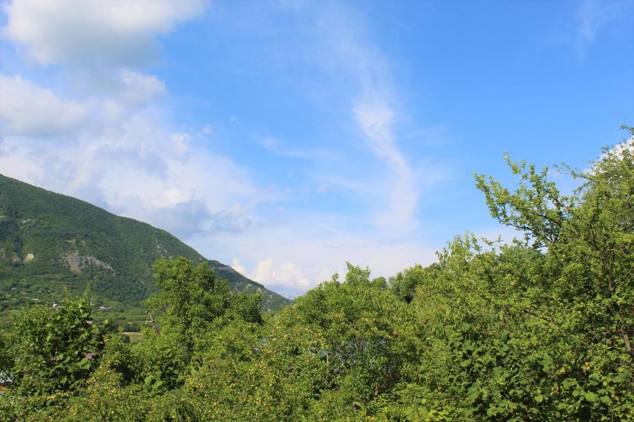 Guest House Racha Ambrolauri Bagian luar foto