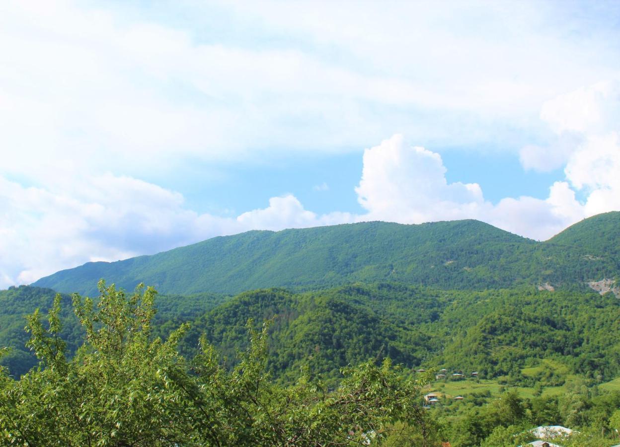 Guest House Racha Ambrolauri Bagian luar foto